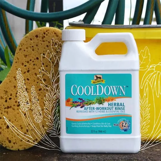 Absorbine CoolDown Herbal After-Workout Rinse- 32oz.