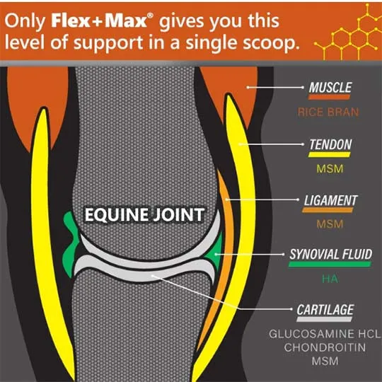 Absorbine Flex Max Advanced Joint Health Supplement- 5lb