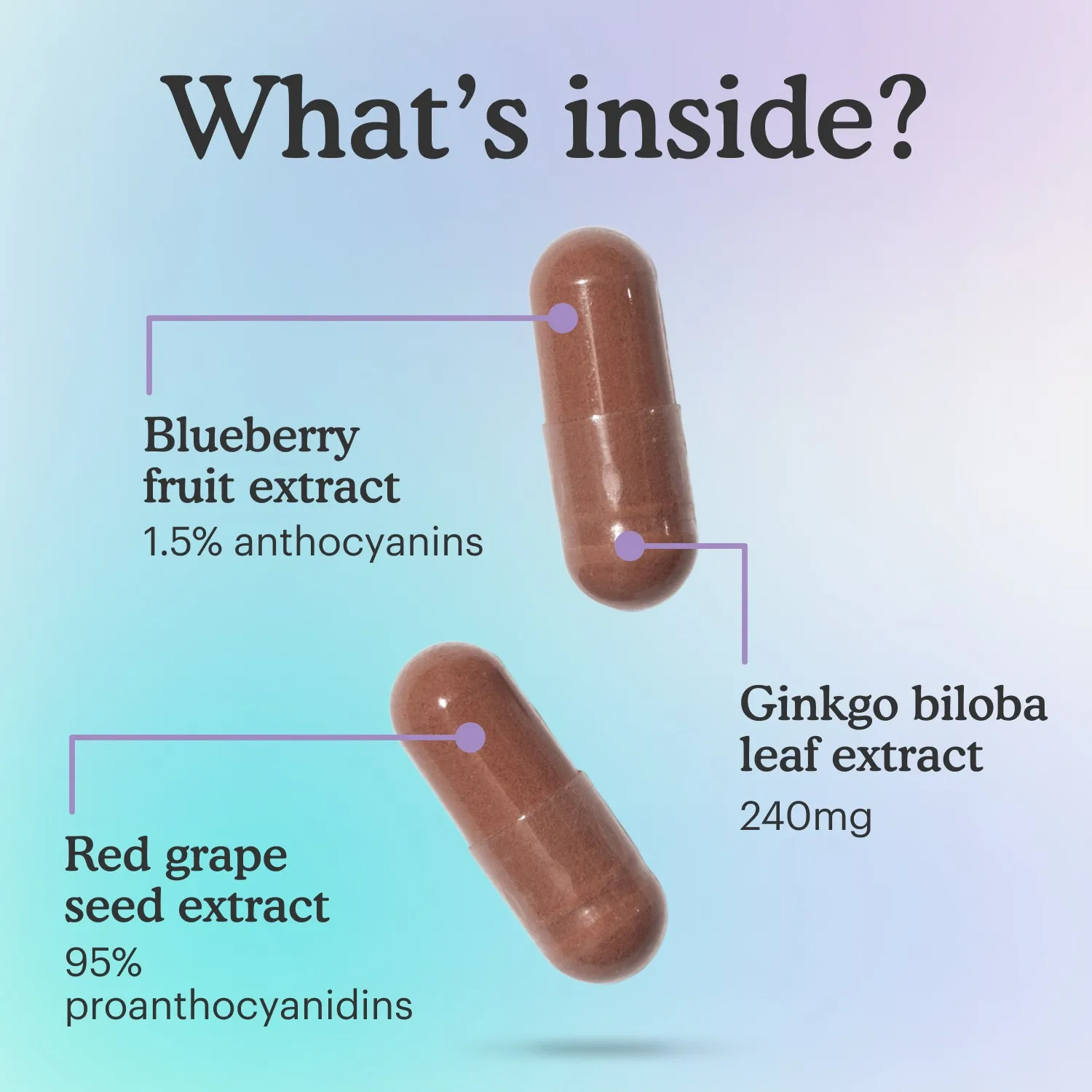 Because Brain & Memory Vitamin