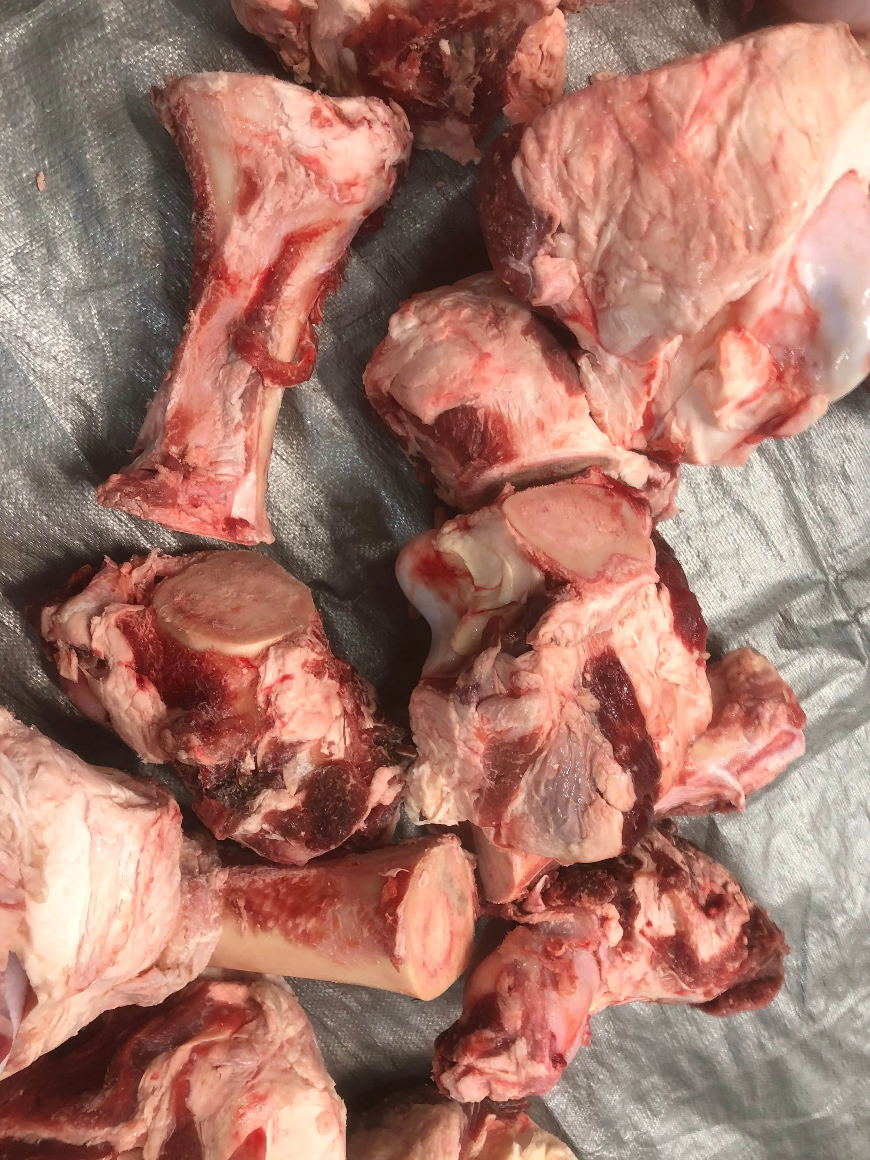 Beef Femur Bones *2 Sizes Available*