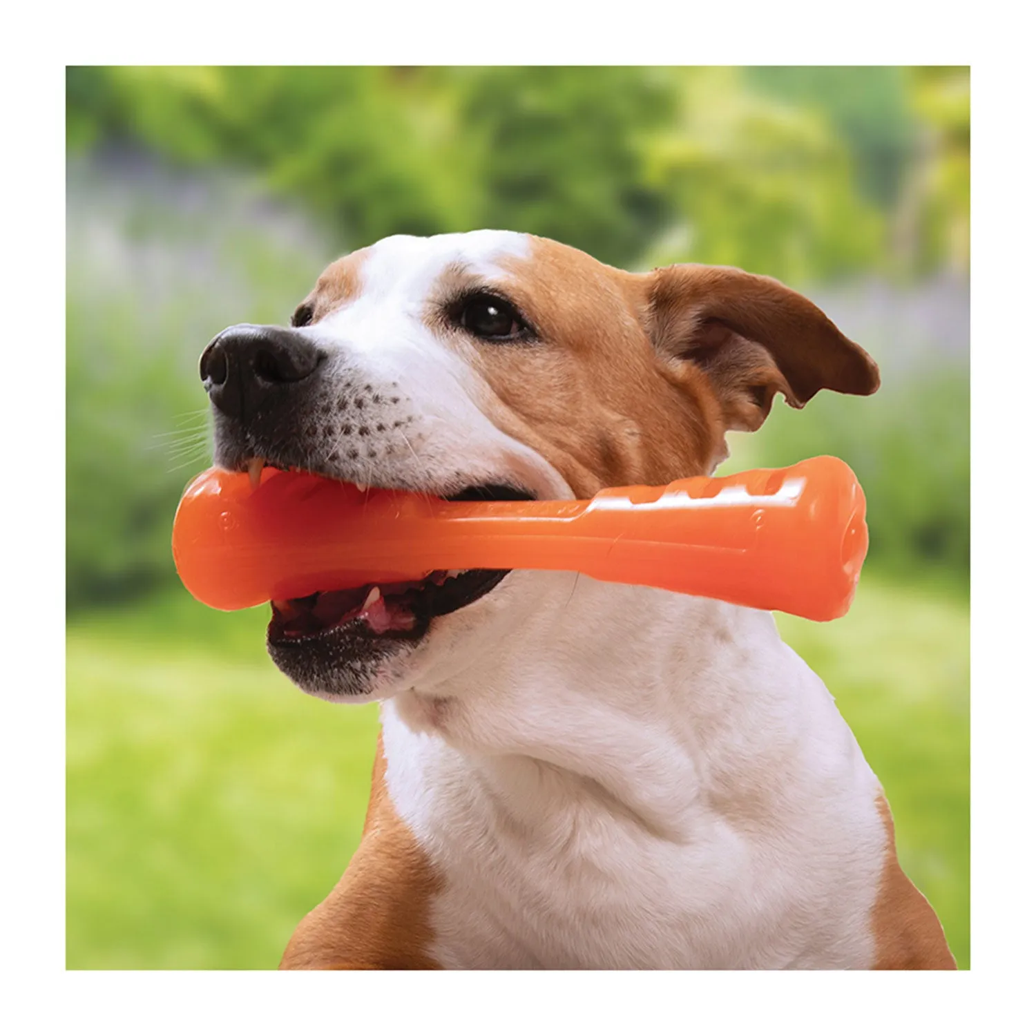 Bionic Urban Stick Dog Toy