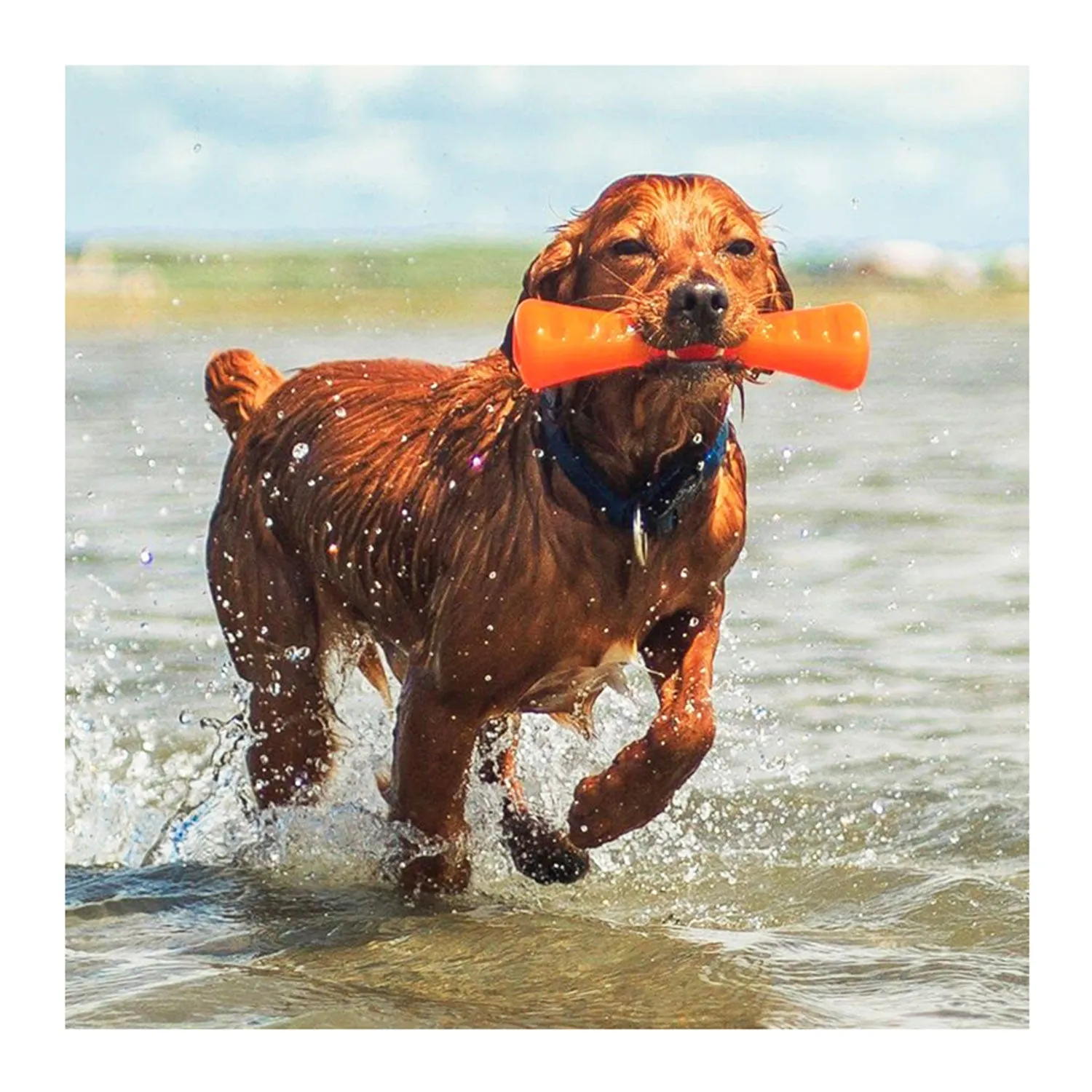 Bionic Urban Stick Dog Toy