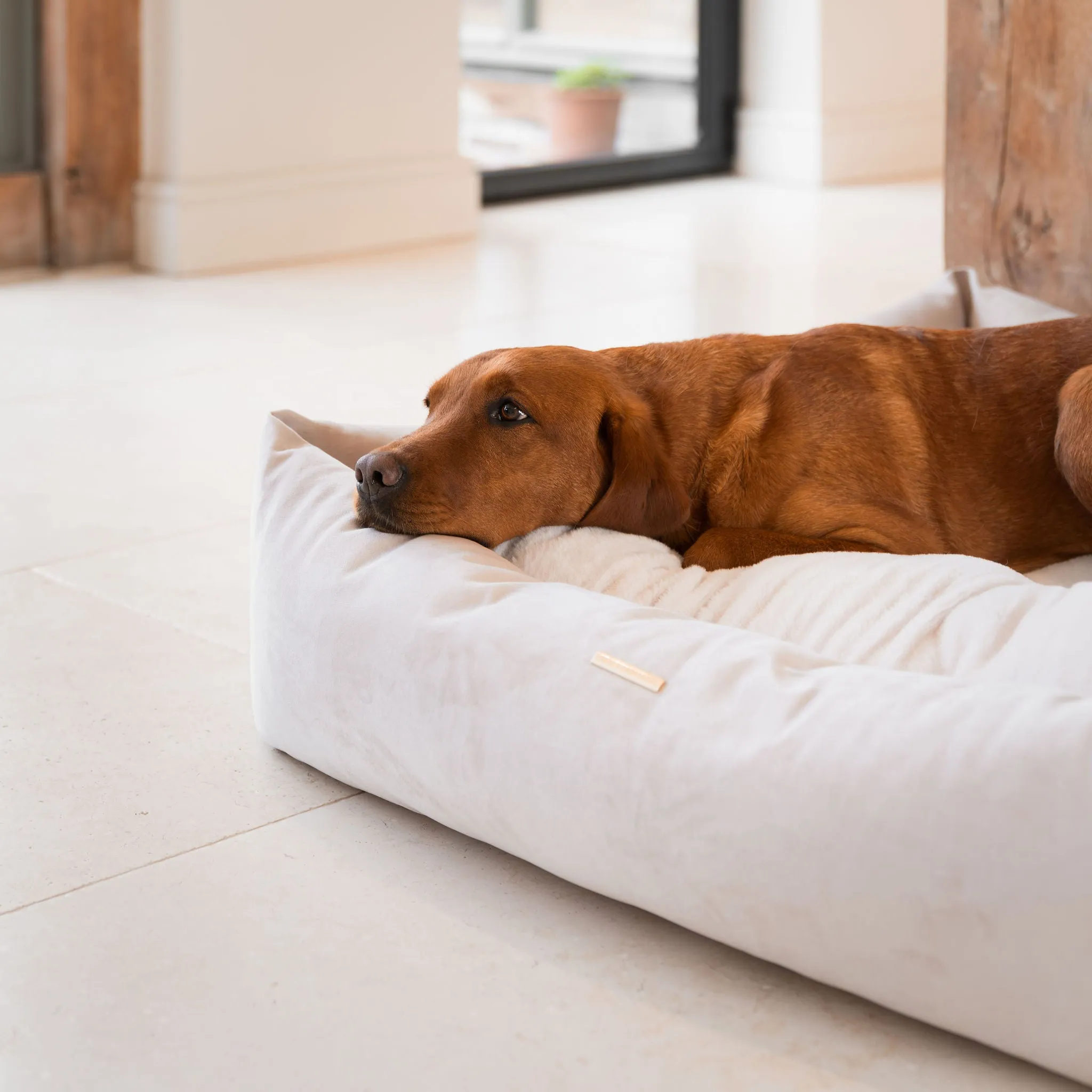Box Bed In Oyster Velvet by Lords & Labradors