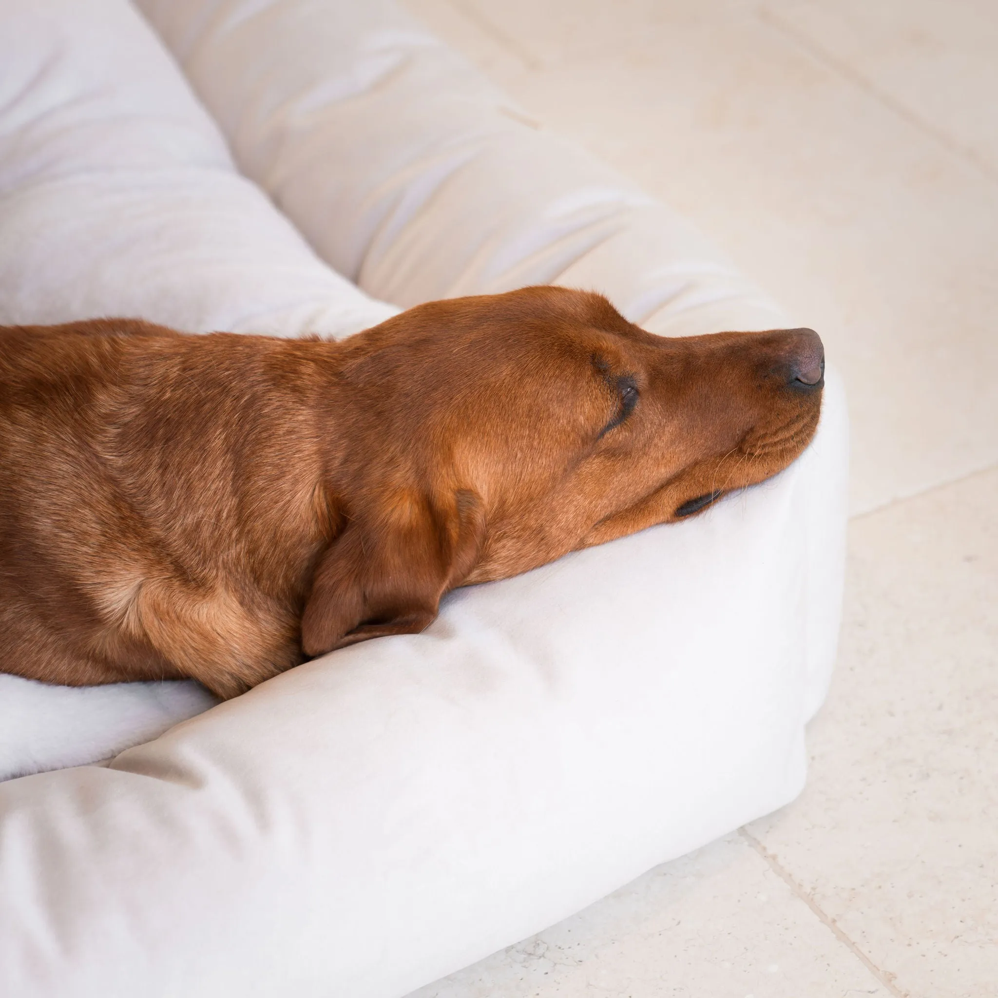 Box Bed In Oyster Velvet by Lords & Labradors