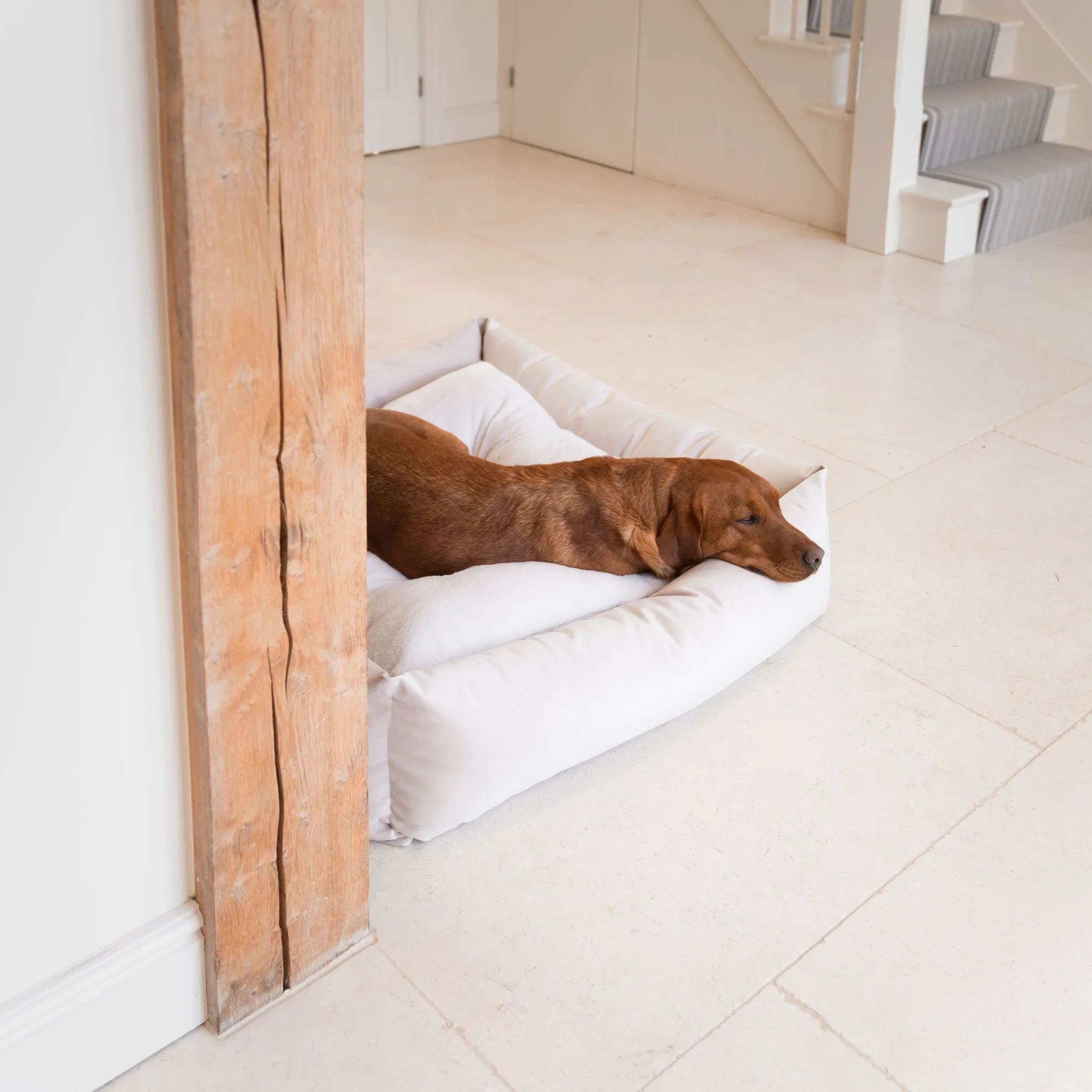 Box Bed In Oyster Velvet by Lords & Labradors
