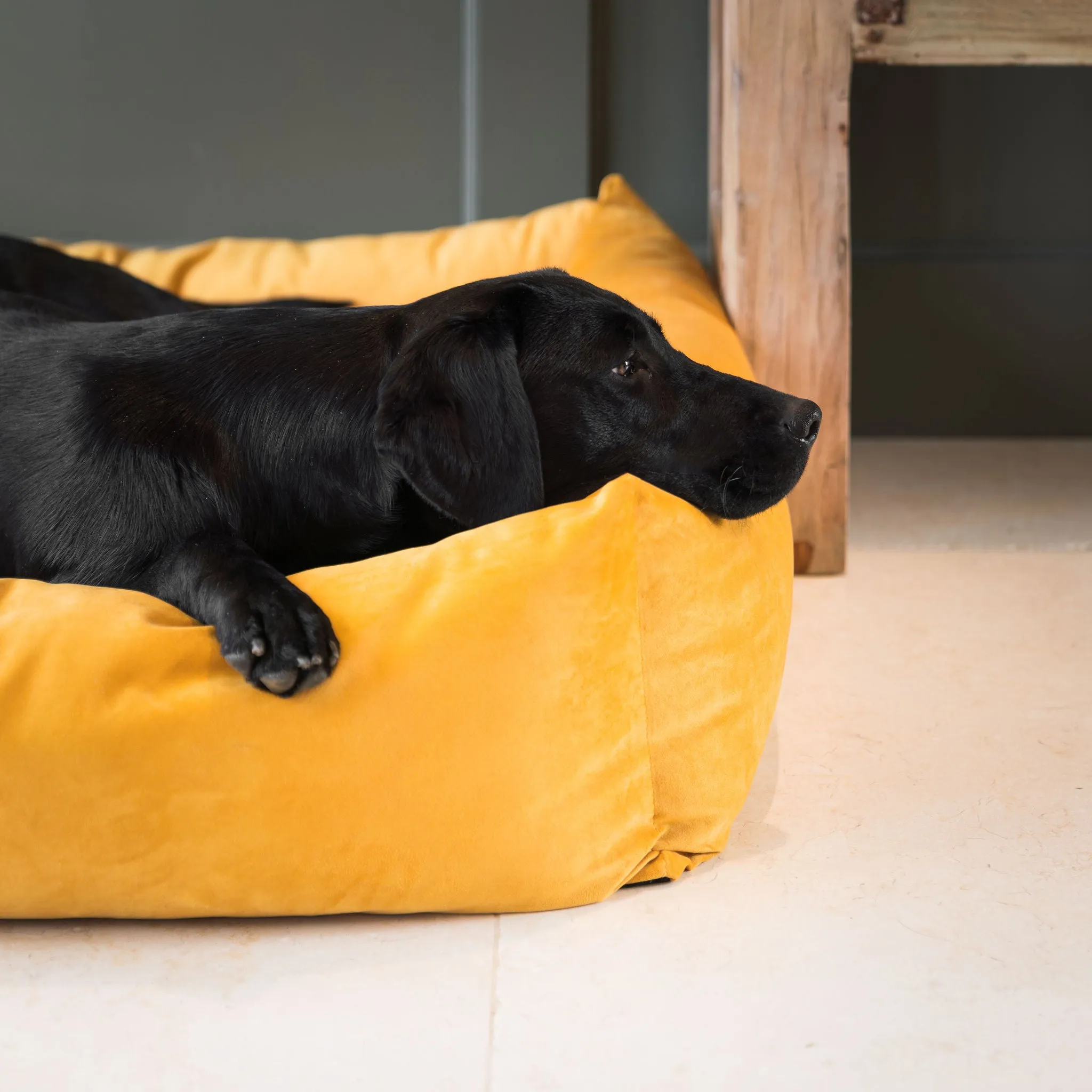 Box Bed In Saffron Velvet by Lords & Labradors