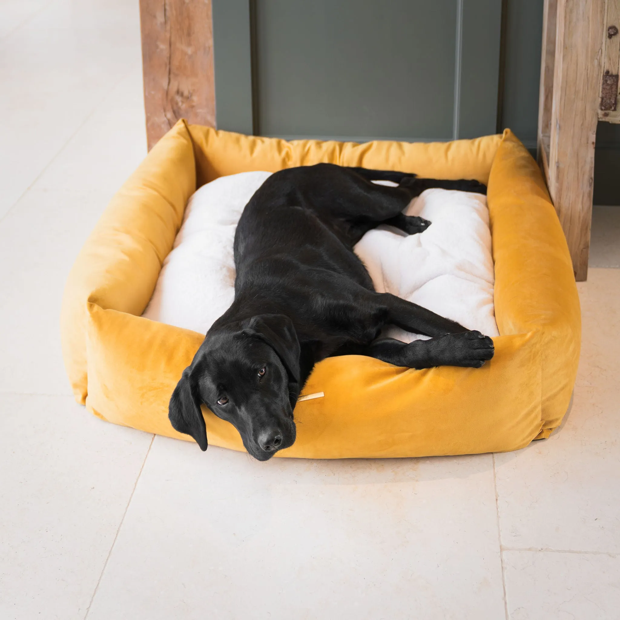Box Bed In Saffron Velvet by Lords & Labradors