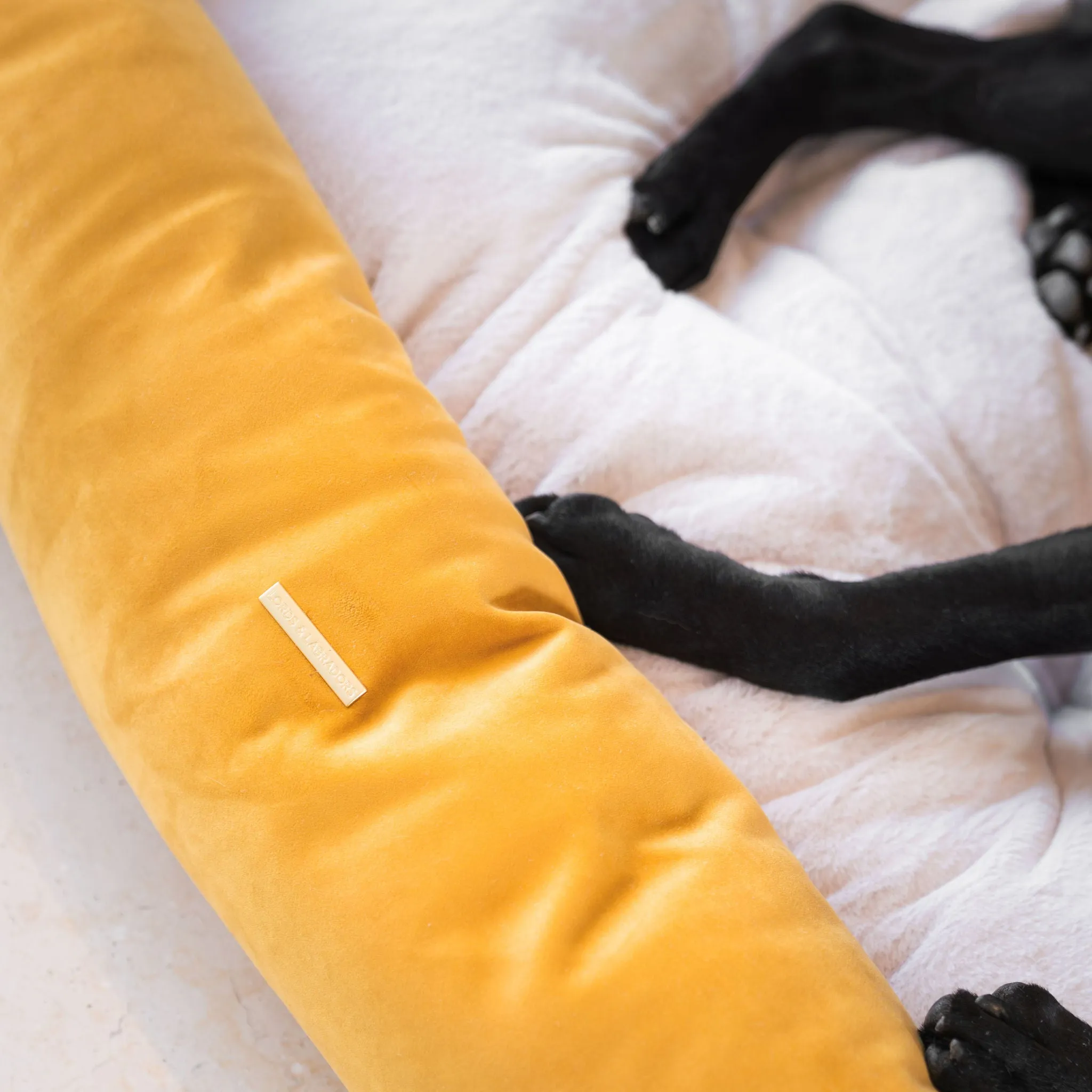 Box Bed In Saffron Velvet by Lords & Labradors