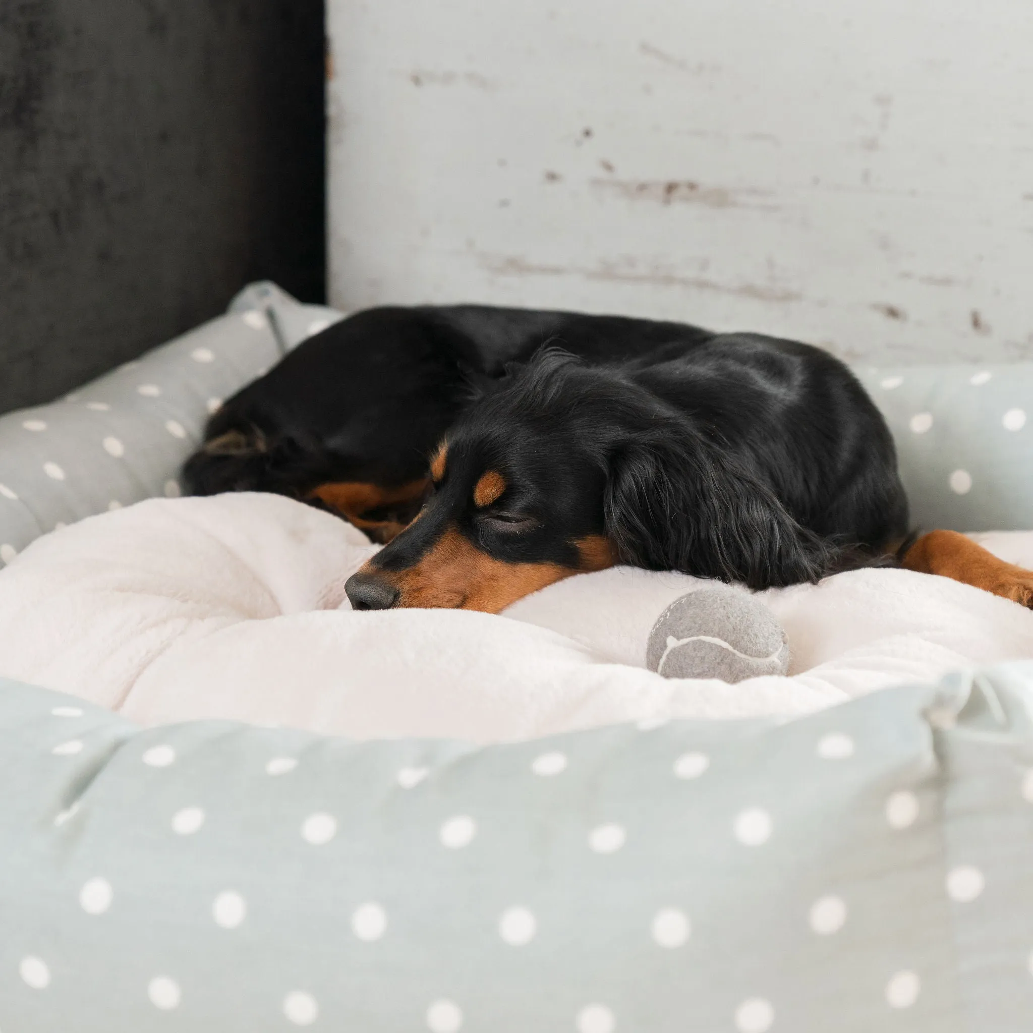Box Bed With Removable Covers in Duck Egg Spot by Lords & Labradors