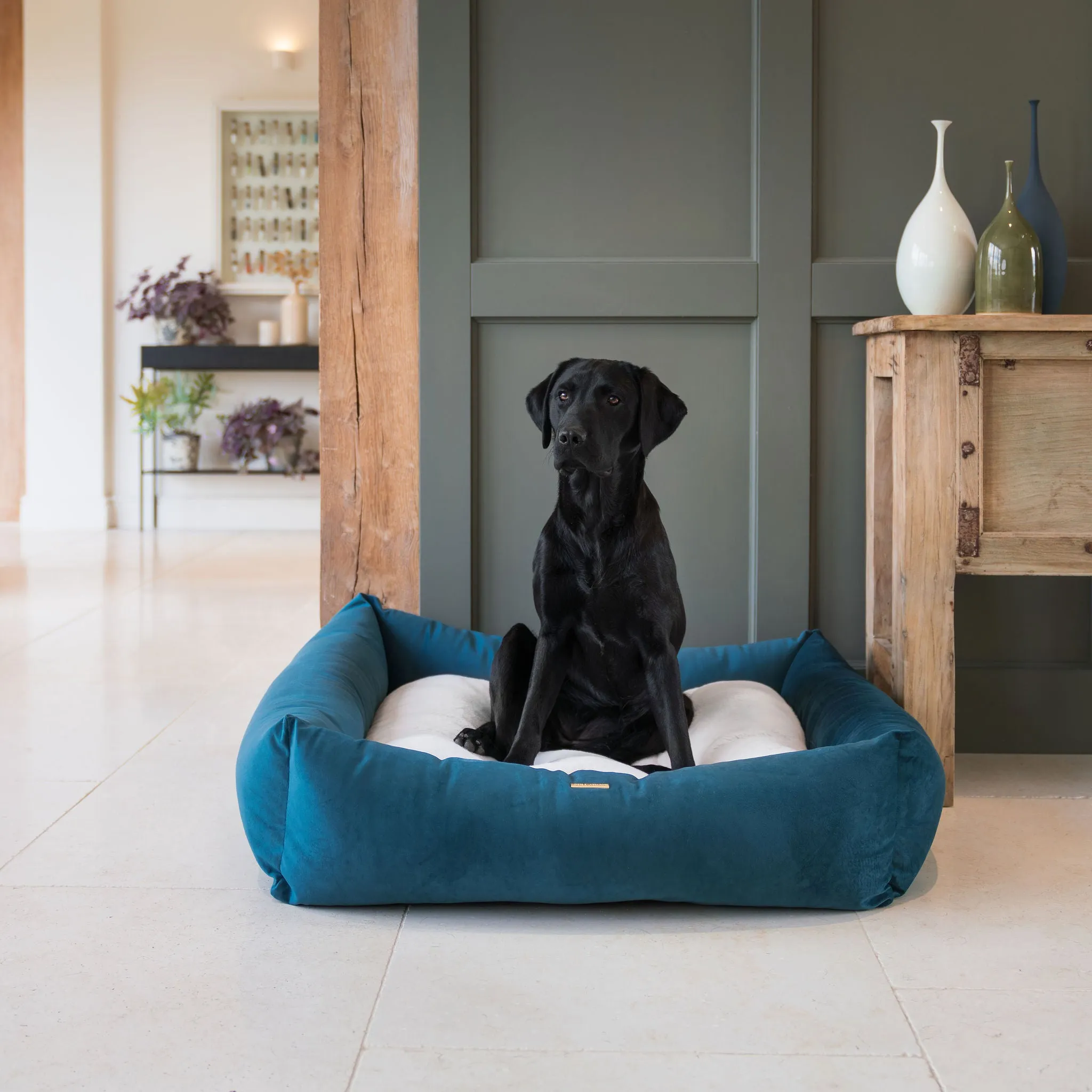 Box Bed With Removable Covers In Marine Velvet by Lords & Labradors
