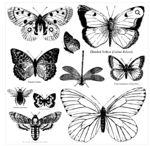 Butterfies IOD Stamps iron orchid design