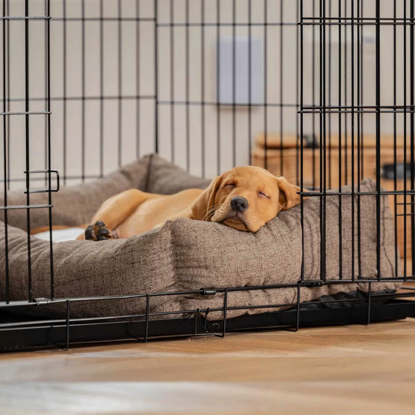 Cosy & Calming Puppy Crate Bed With Removable Covers In Inchmurrin Umber by Lords & Labradors