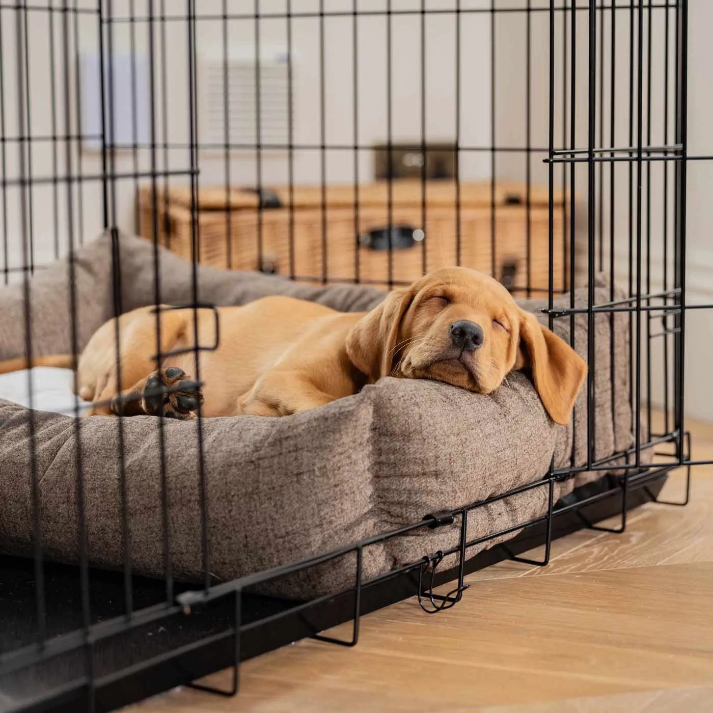 Cosy & Calming Puppy Crate Bed With Removable Covers In Inchmurrin Umber by Lords & Labradors