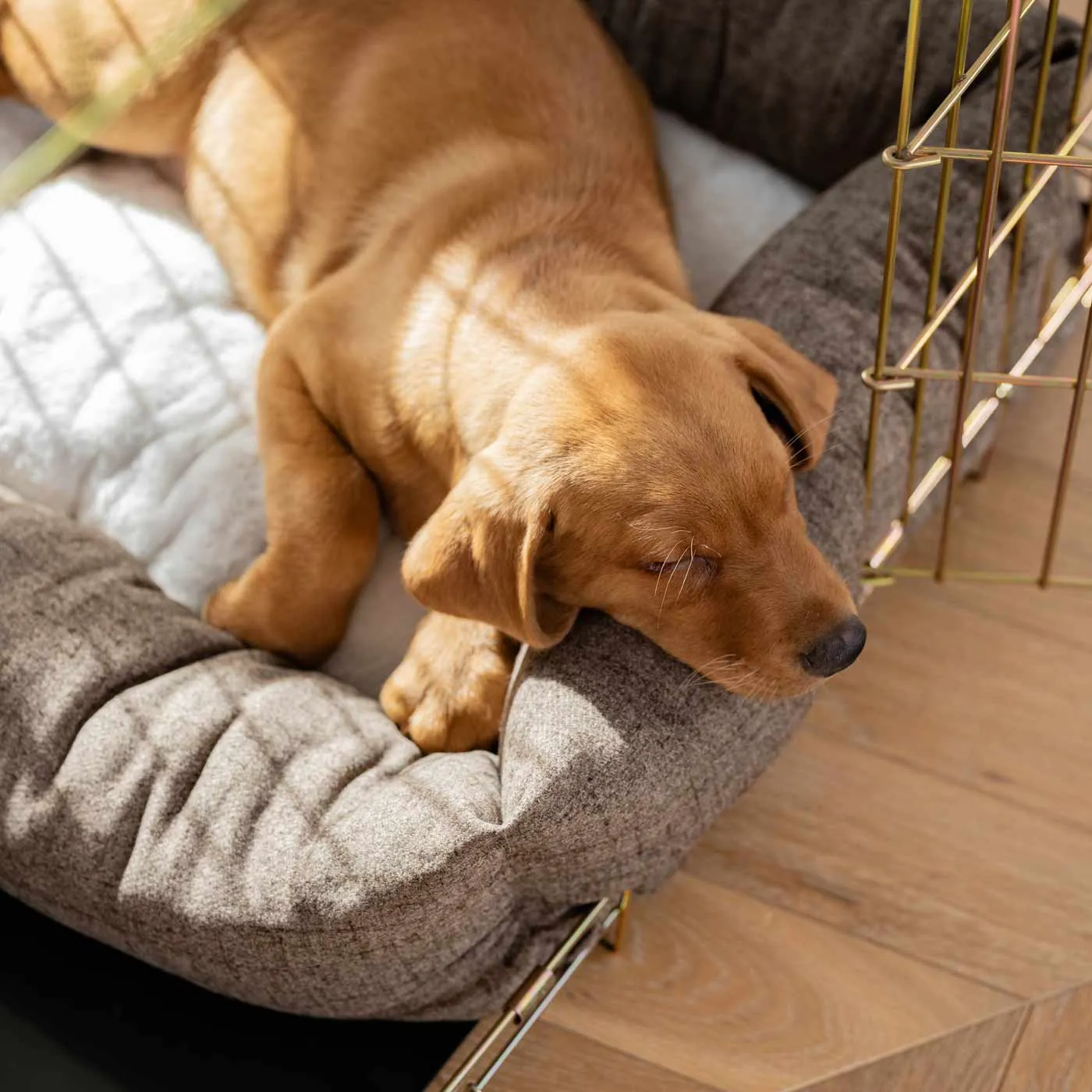 Cosy & Calming Puppy Crate Bed With Removable Covers In Inchmurrin Umber by Lords & Labradors