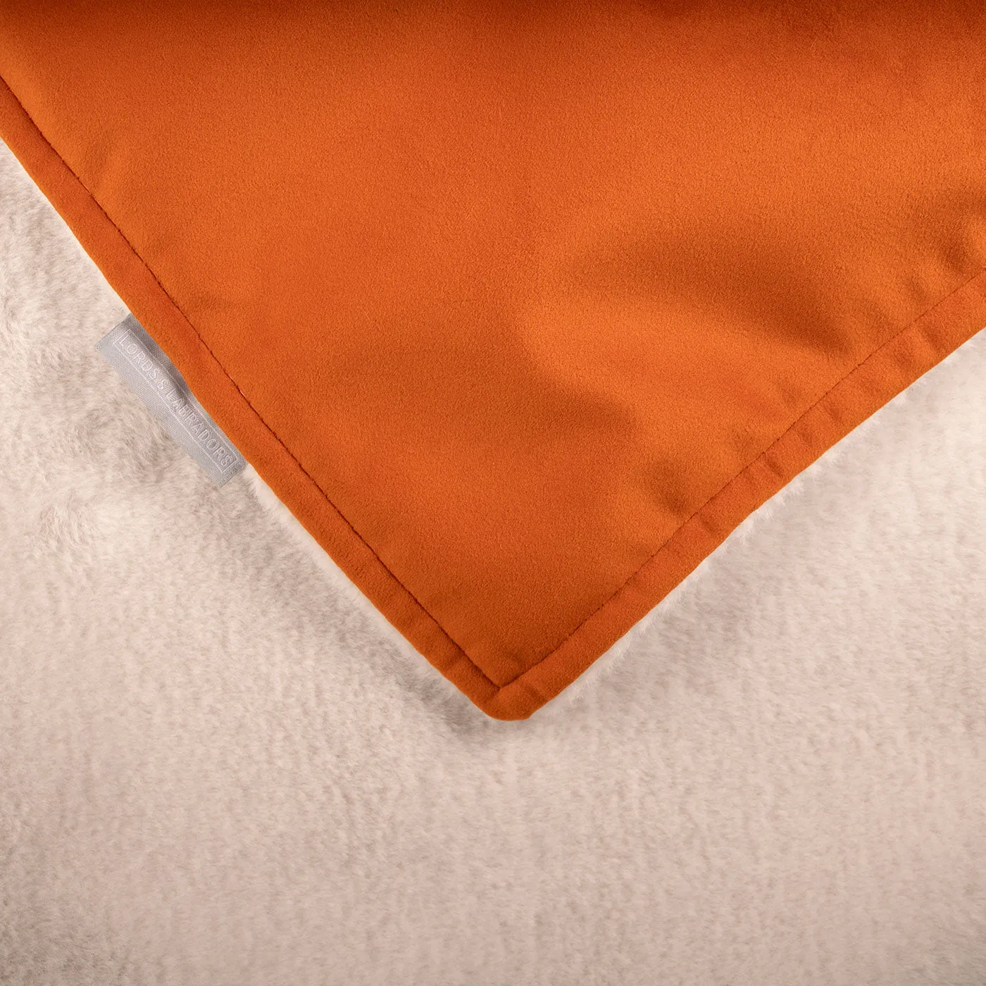 Dog & Puppy Blanket in Pumpkin Velvet by Lords & Labradors