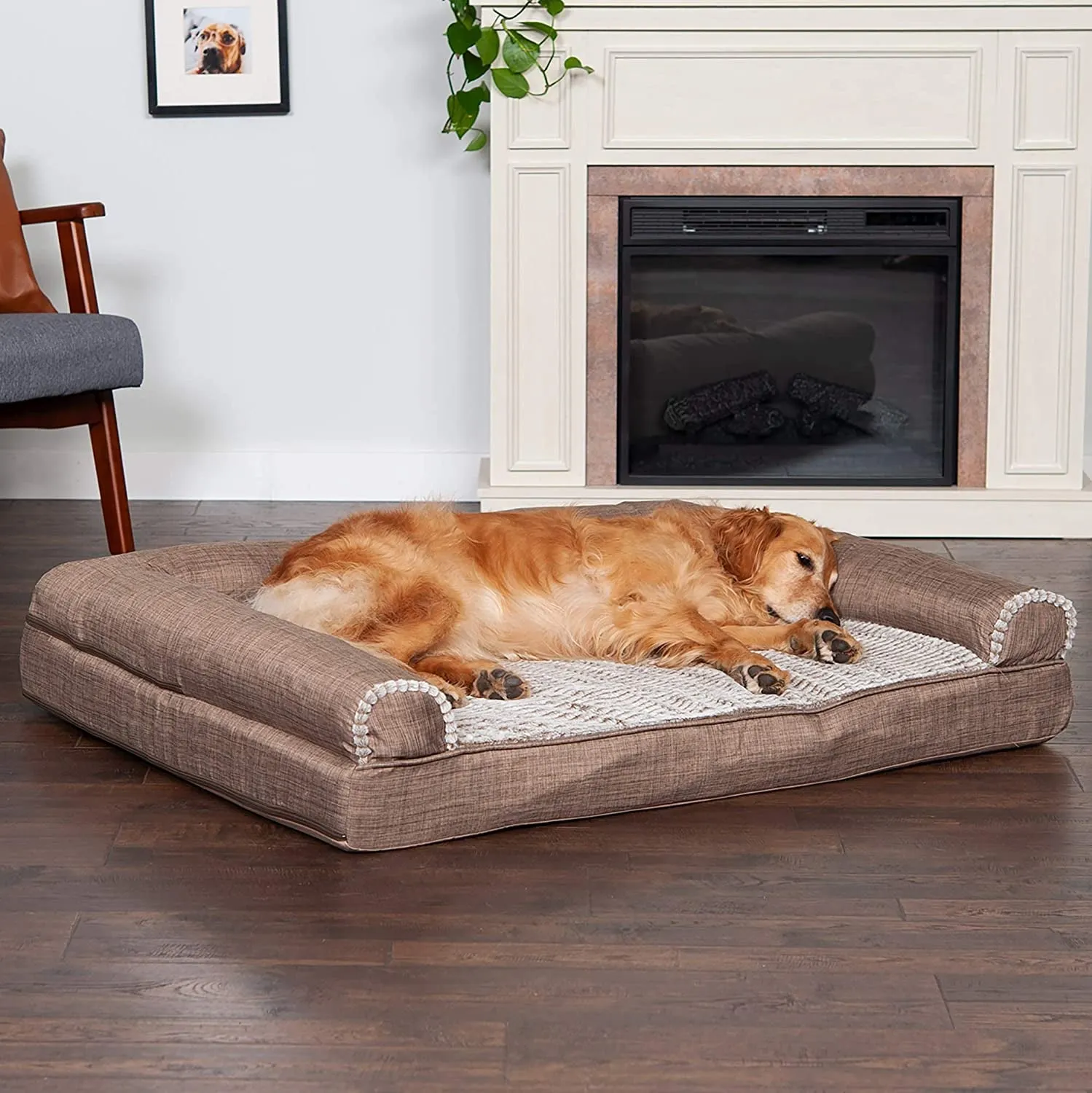Furhaven Orthopedic Dog Bed for Large Dogs for Dogs up to 95 Lbs!