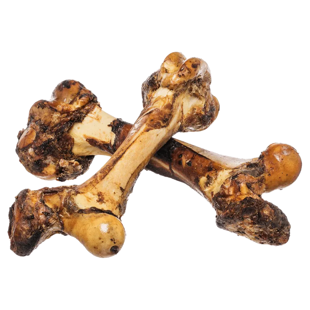 Redbarn Mammoth Beef Femur Bone Dog Treat