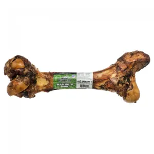 Redbarn Mammoth Beef Femur Bone Dog Treat