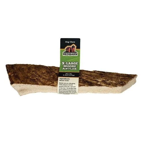 RedBarn Moose Antler; Assorted Sizes