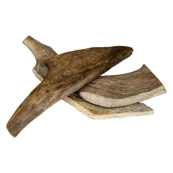 RedBarn Moose Antler; Assorted Sizes