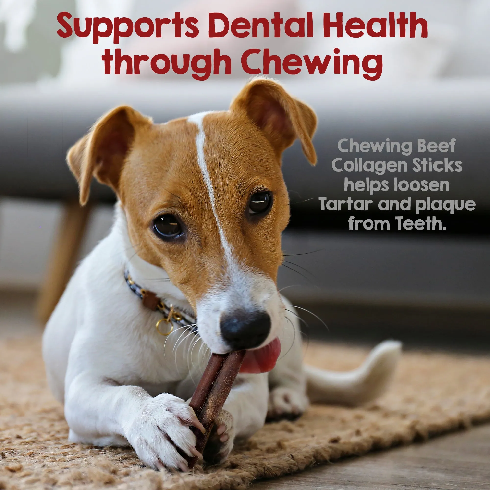 Riley's Originals Beef Collagen Sticks (6")