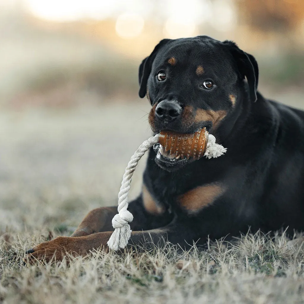 Rubber Spike and Rope Dog Toy