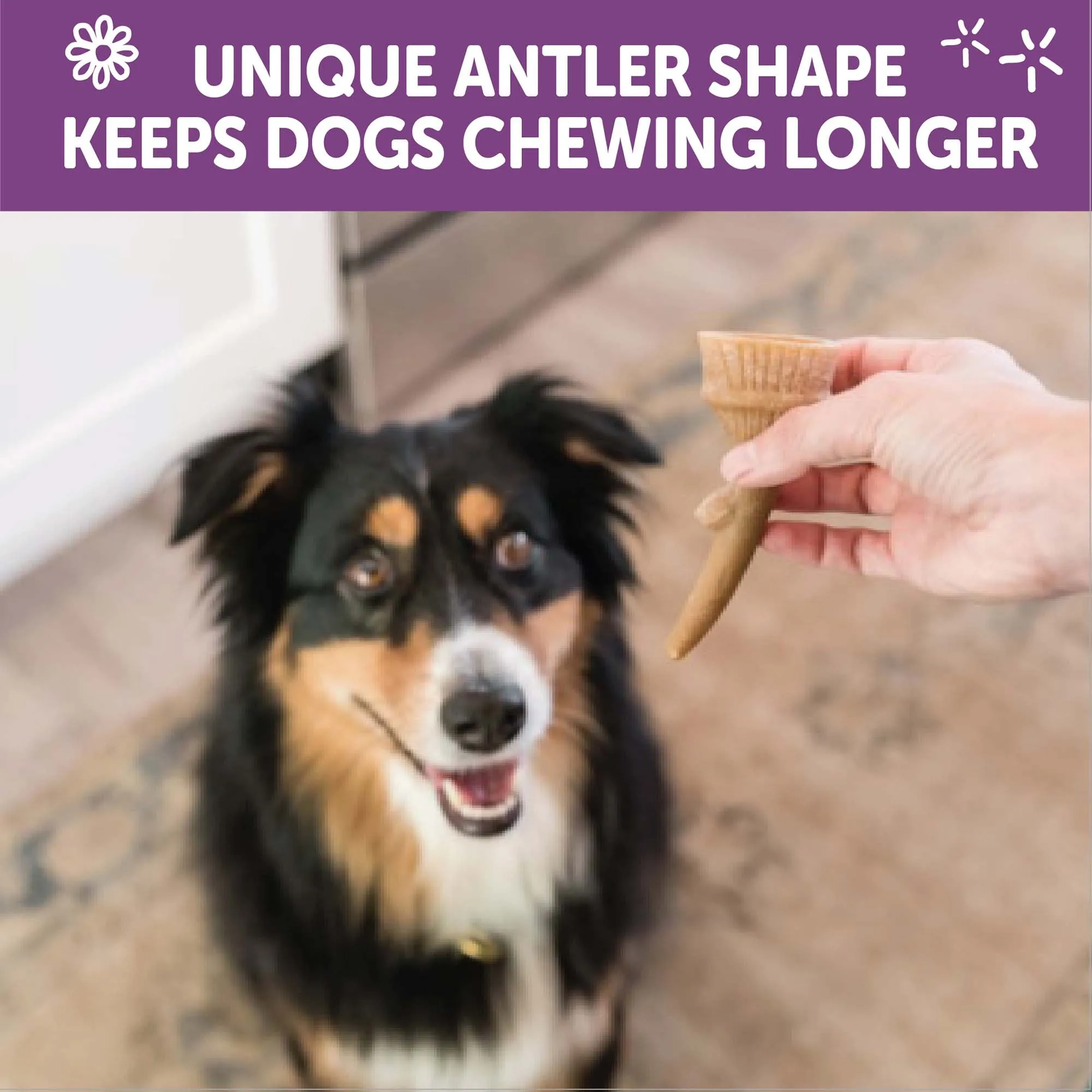 Whimzees Dog Dental Treats Occupy Antlers Large Value Bag 6 Pack