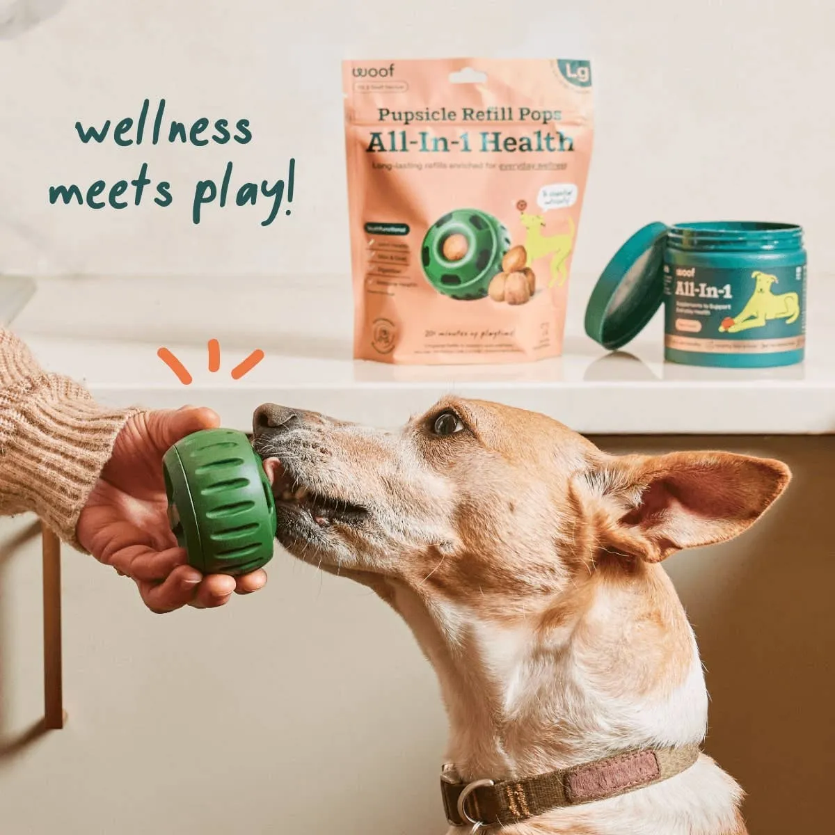 Woof All-in-1 Wellness Dog Treats
