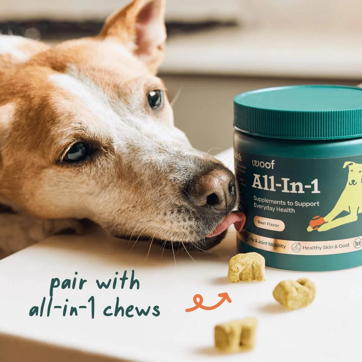 Woof All-in-1 Wellness Dog Treats